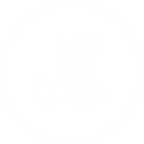 w2